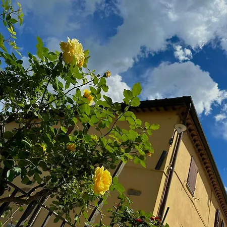 Casa Alle Vacche *