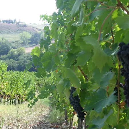 Casa Alle Vacche Séjour à la campagne