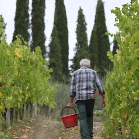 Séjour à la campagne Casa Alle Vacche