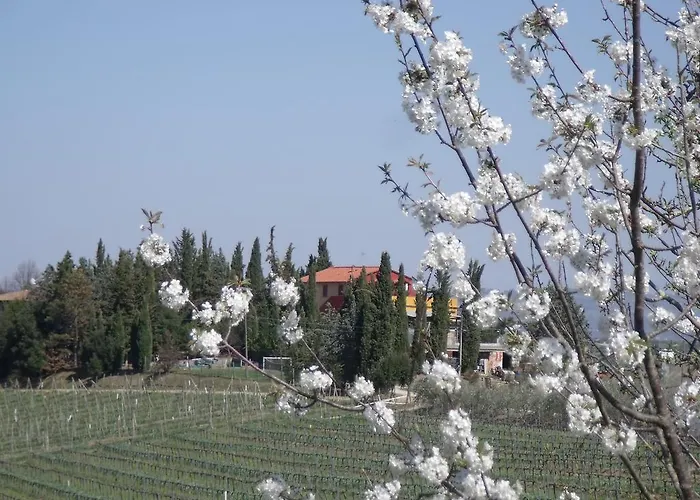 Casa Alle Vacche